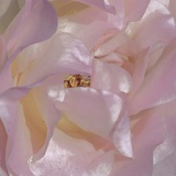一朵小花花