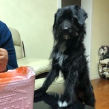 甲状腺
