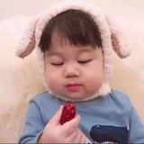 爱吃的小胖墩