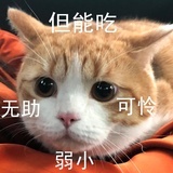 泓四