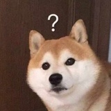 机器羊