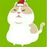 Caaaaaaaato