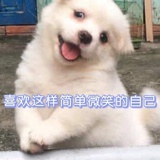 11111