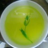 荒芜漫步