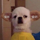 一杯榛果拿铁
