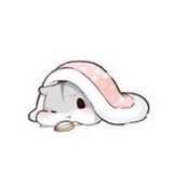 雨齐