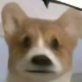 哎哟我去