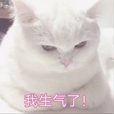 巨能挣钱老板娘