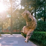 克苏恩猎手