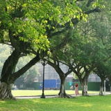 阿拉索阿拉索～