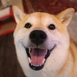 笑忘输