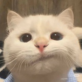 花田