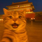随便磕磕