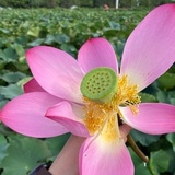 高级跑路工程师