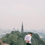 魏也