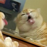 吃猕猴桃不吐皮