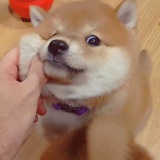 自律第一名