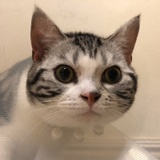 莫醒