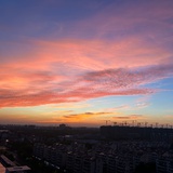 xuxu