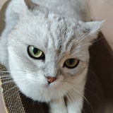 人间清醒一点