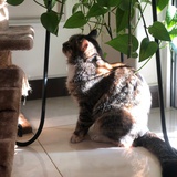 Zoey