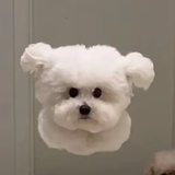 椰奶芋圆哇