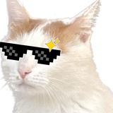 Golatus