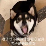 niwo.0