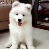 嗯加