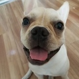 安森的百宝箱
