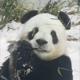 打泡泡