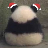 夜落乌啼声不止