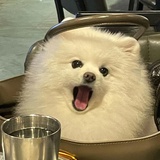 摇头晃脑的路灯
