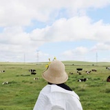 禾田田