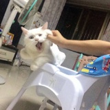 来个流沙包
