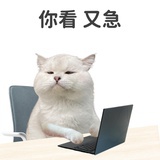 来支苦咖啡