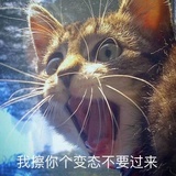日月经年