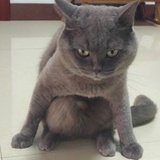 陈不知