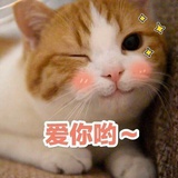 十四