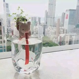 小傅