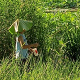 蓝色苍穹