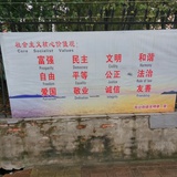30岁前的每一天