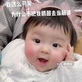 一朵粑粑花