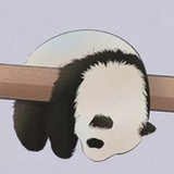 橘子不唯一