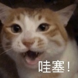 你在做梦