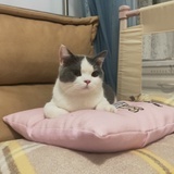 豆友139220779