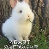 已注销