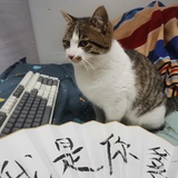 小叮当