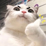青安