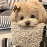 你没事吧